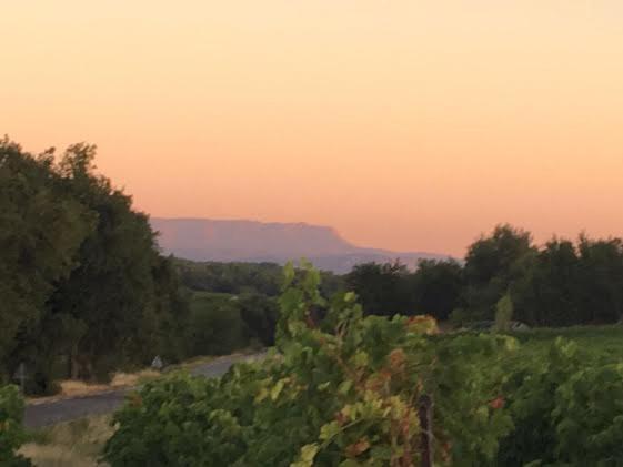 Hébergement de vacances La Bastide Des Vasses Cucuron