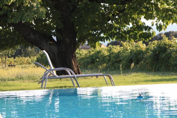 Hébergement de vacances La Bastide Des Vasses